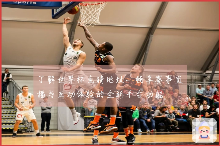 了解世界杯竞猜地址，畅享赛事直播与互动体验的全新平台功能