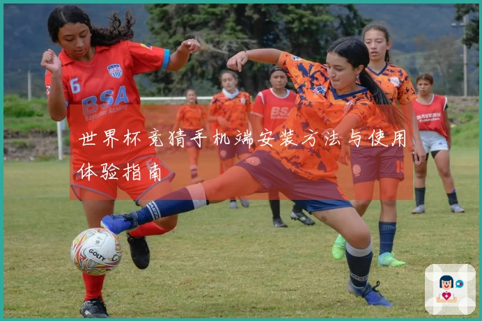 世界杯竞猜手机端安装方法与使用体验指南