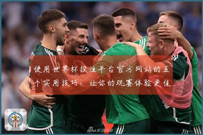 使用世界杯投注平台官方网站的五个实用技巧，让你的观赛体验更佳