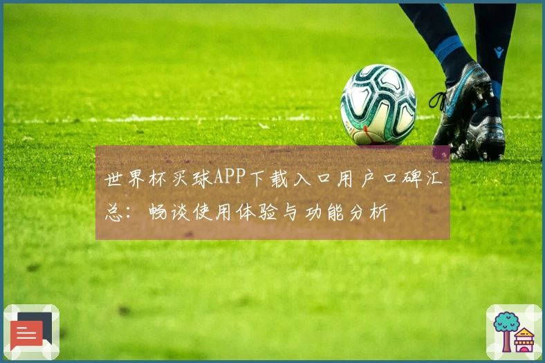 世界杯买球APP下载入口用户口碑汇总：畅谈使用体验与功能分析