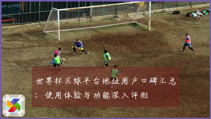 世界杯买球平台地址用户口碑汇总：使用体验与功能深入评测